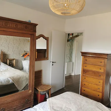 Les Pleiades 公寓 福尔马翁普拉日